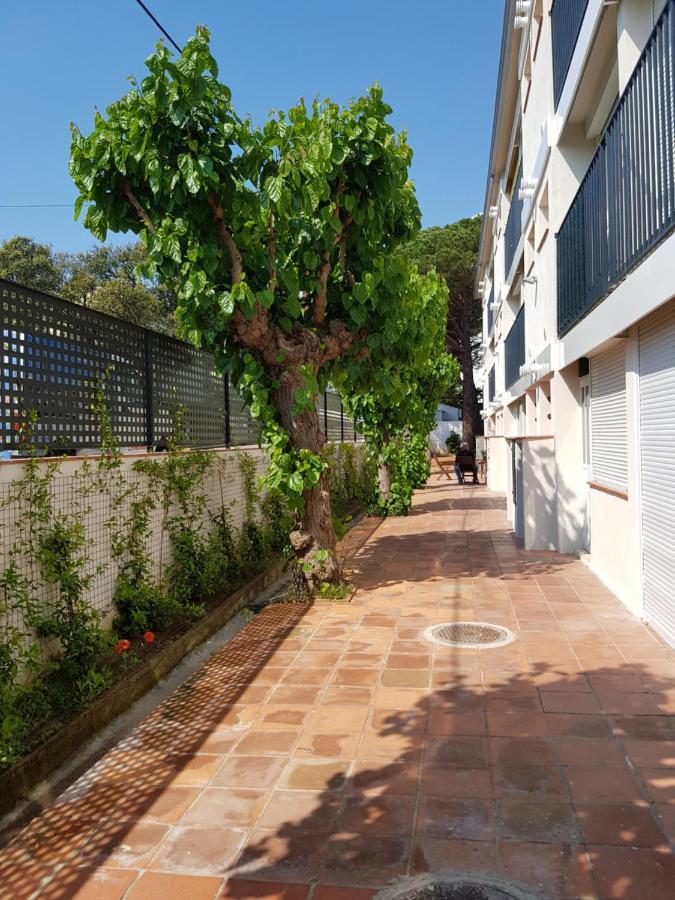 Apt Con Piscina En Calella De Palafrugell, Parking Gratuito Eksteriør bilde